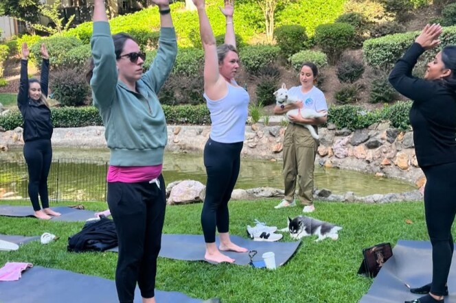 A group of people participating in an outdoor yoga session, standing on mats with arms raised overhead. In the background, one person holds a small dog, and another dog lies on the grass. The setting includes greenery and a small pond, suggesting a park or garden.