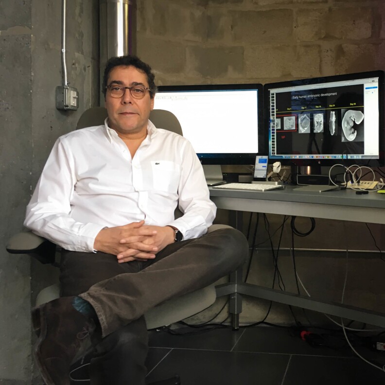 Ali Brivanlou's research team at Rockefeller University in New York was one of two groups internationally that figured out how to keep human embryos alive in lab dishes beyond the 14-day stage of development.