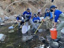 Seven people wearing blue long sleeve shirts and tan or green overalls are wading through a stream with their outstretched poles and nets moving through the water. 