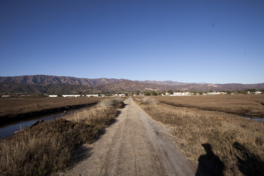 A business park development prevents the Carpinteria salt marsh from moving towards the hills as rising sea levels threaten its survival.
