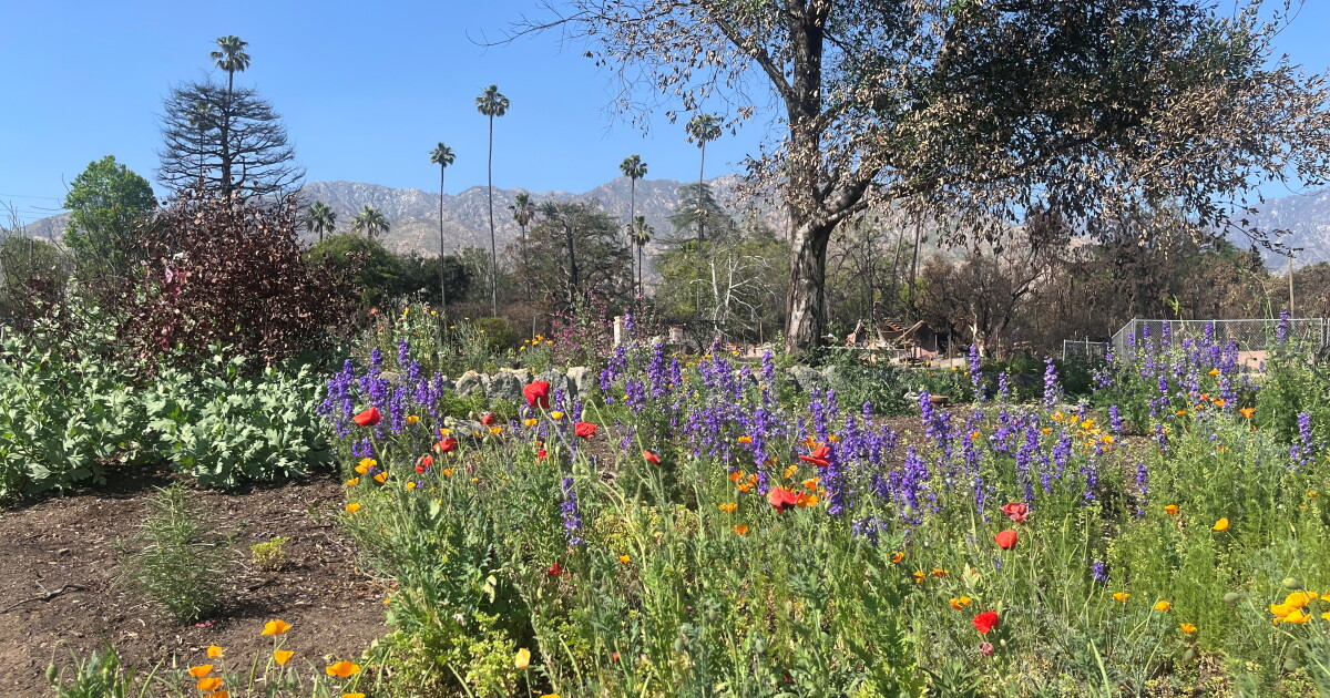 Warm Mothers Day Weekend Highs to reach 80s and 90s
