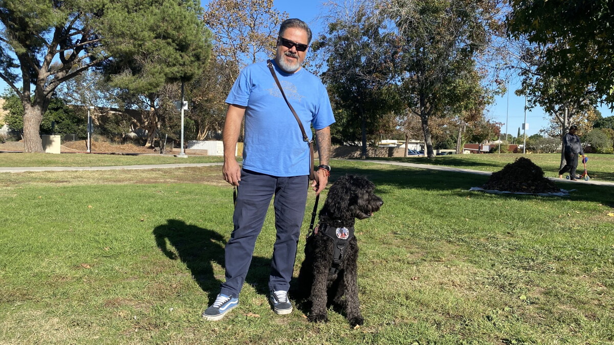 Veteran Service Dogs - Vimarsana News