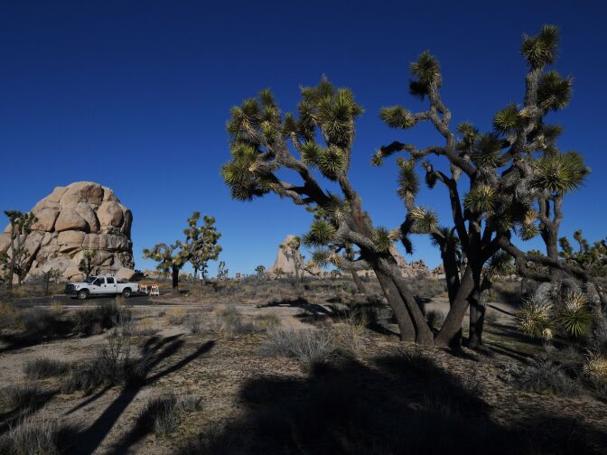 A closed and blocked campground (L) at the Joshua Tree National Park after the federal government's partial shutdown caused park rangers to stay home and campgrounds to be shut, at the park in California, on January 3, 2019. - US President Donald Trump warned the US federal government may not fully reopen any time soon, as he stood firm on his demand for billions of dollars in funding for a border wall with Mexico. (Photo by Mark RALSTON / AFP)        (Photo credit should read MARK RALSTON/AFP via Getty Images)