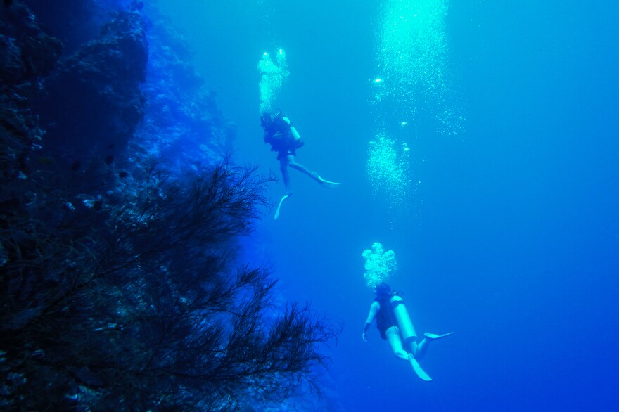 Scuba divers swim after visiting aviation wrecks from World War II off the coast of Rabaul on New Britain island in Papua New Guinea.
