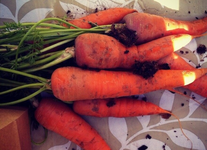 organiccarrots.jpg
