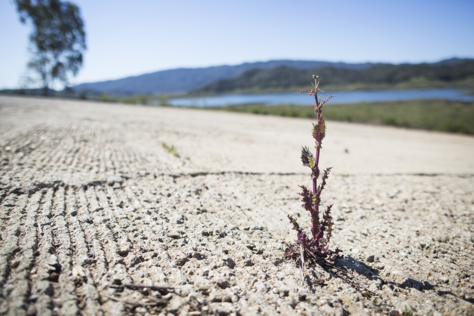 A boat ramp at Lake Casitas in Ventura, Calif. is exposed on Thursday, Mach 23, 2017. The lake is currently below 44 percent capacity, about 70 feet under its usual water level.