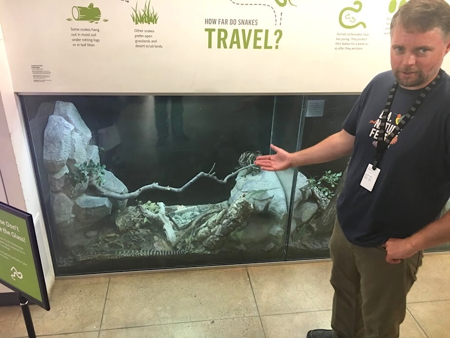 Greg Pauly, curator of reptiles and amphibians at the Natural History Museum of Los Angeles County, in front of the museum's Southern Pacific Rattlesnake.
