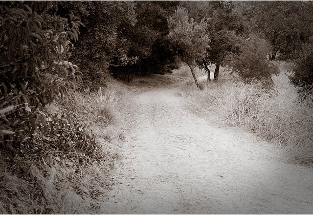 dirt-road.jpg