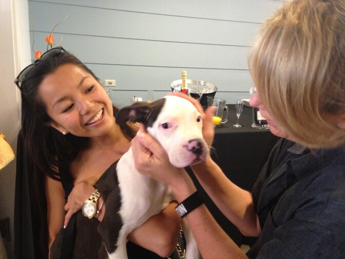 Tiffany Mui of West Hollywood checks out one of NKLA's pets that is up for adoption.