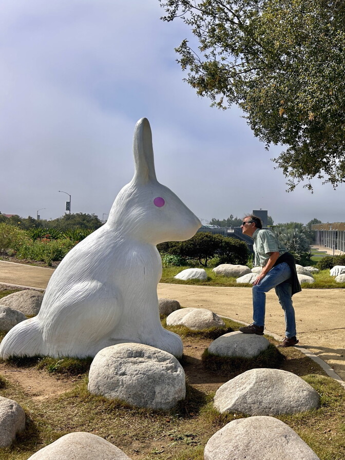 A large white rabbit statue with a pink eye sits among boulders as a person leans in to look at it.