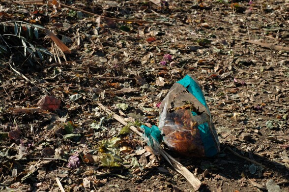 Produce in a plastic bag on a dirt and leafy ground. 