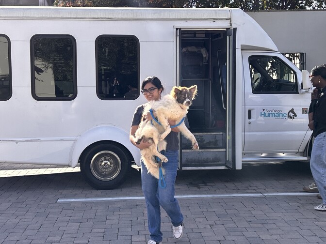 A woman is carrying a medium white and brown dog in her arms as she walks away from a white van with its side door open. The van has the words "San Diego Humane Society" on the passenger door.