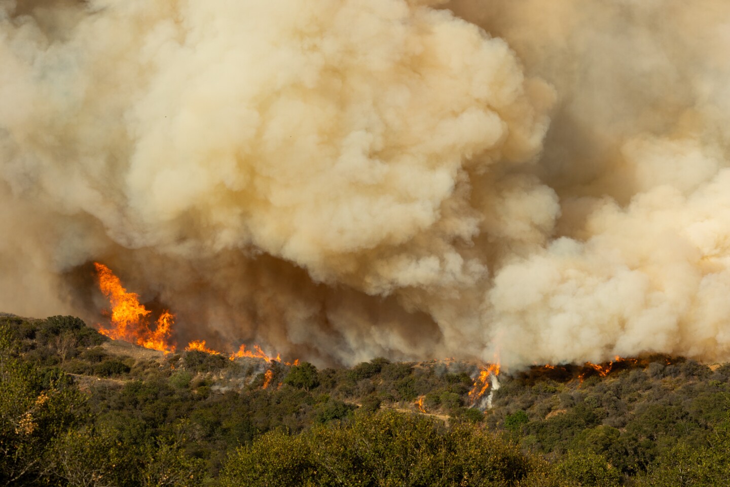 pic Topanga State Park Fire palisades fire what we know so far laist