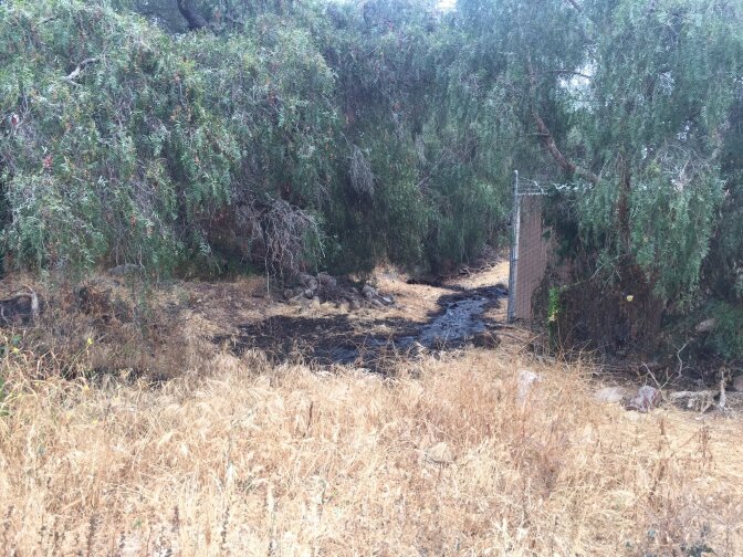 An oil spill that released thousands of gallons of crude oil was discovered Thursday in Ventura.