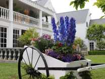 The exterior of a two-story Colonial home painted white. In the foreground is a white wheelbarrow bring used as a planter, with tall purple flowers as well as smaller pink and purple flowers.