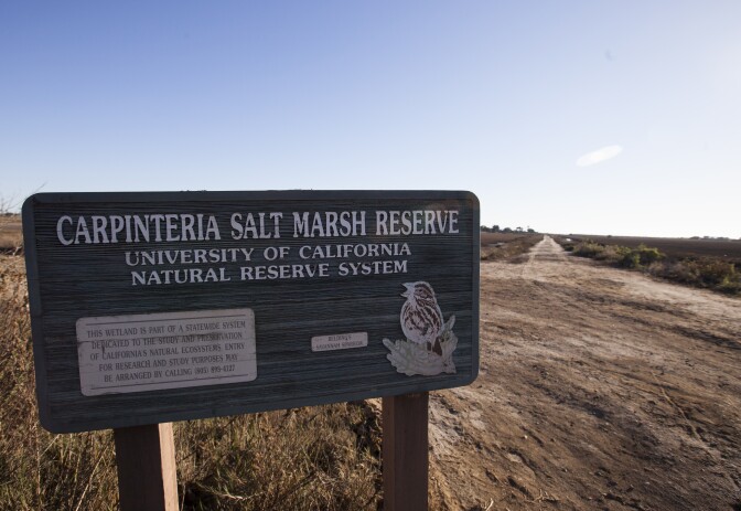 The Carpinteria Salt Marsh Reserve.