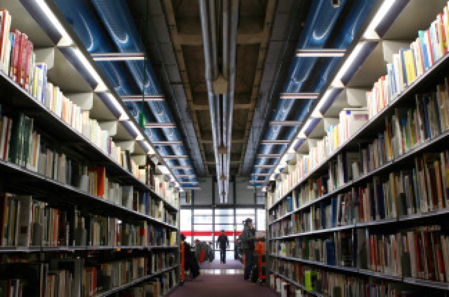 The Los Angeles City Council deliberates about which measures to place on the March ballot. They agree to ask voters to decide several issues, including a bigger piece of the budget pie to L.A. City libraries.