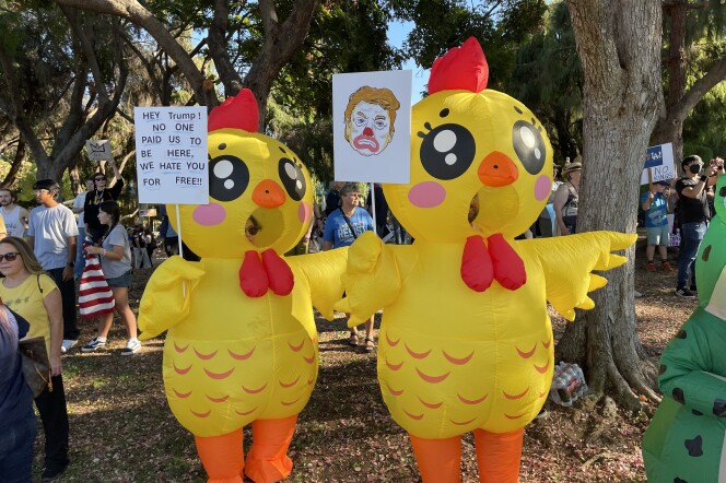 Two people in chicken costumes hold anti-Trump signs.