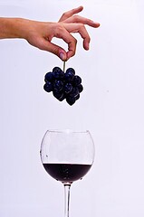 5b2bdda74488b3000926be77-original.jpg