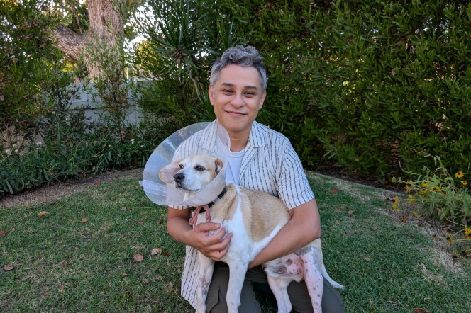 A man with gray hair is holding a dog with a cone around its head in his arms.