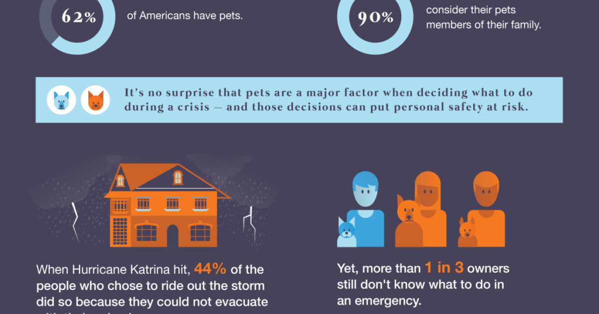 How to have a pet plan for earthquakes, other disasters | LAist
