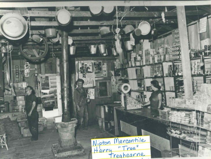 NIPTON