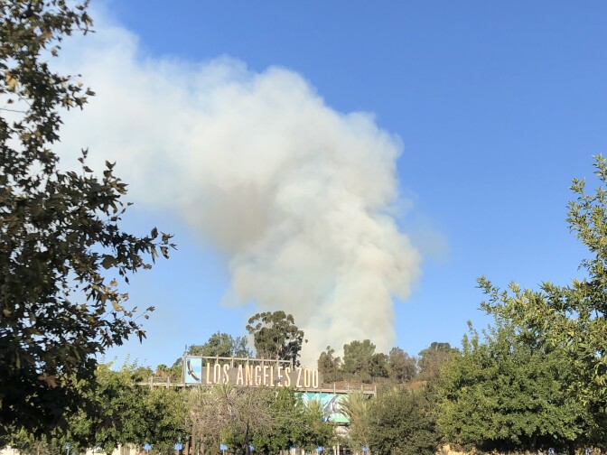 A fire burns behind the Los Angeles Zoo, in Griffith Park. (Matt Tinoco/KPCC)