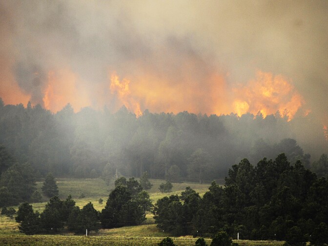 Firefighters attacked dozens of wildfires in California, Colorado and other Western states where hot and windy conditions persisted Thursday, including two fires that forced hundreds of people out of their homes in Colorado. (Photo: Fire from the Black Forest Fire burns behind a stand of trees June 12, 2013 near Colorado Springs, Colorado.)