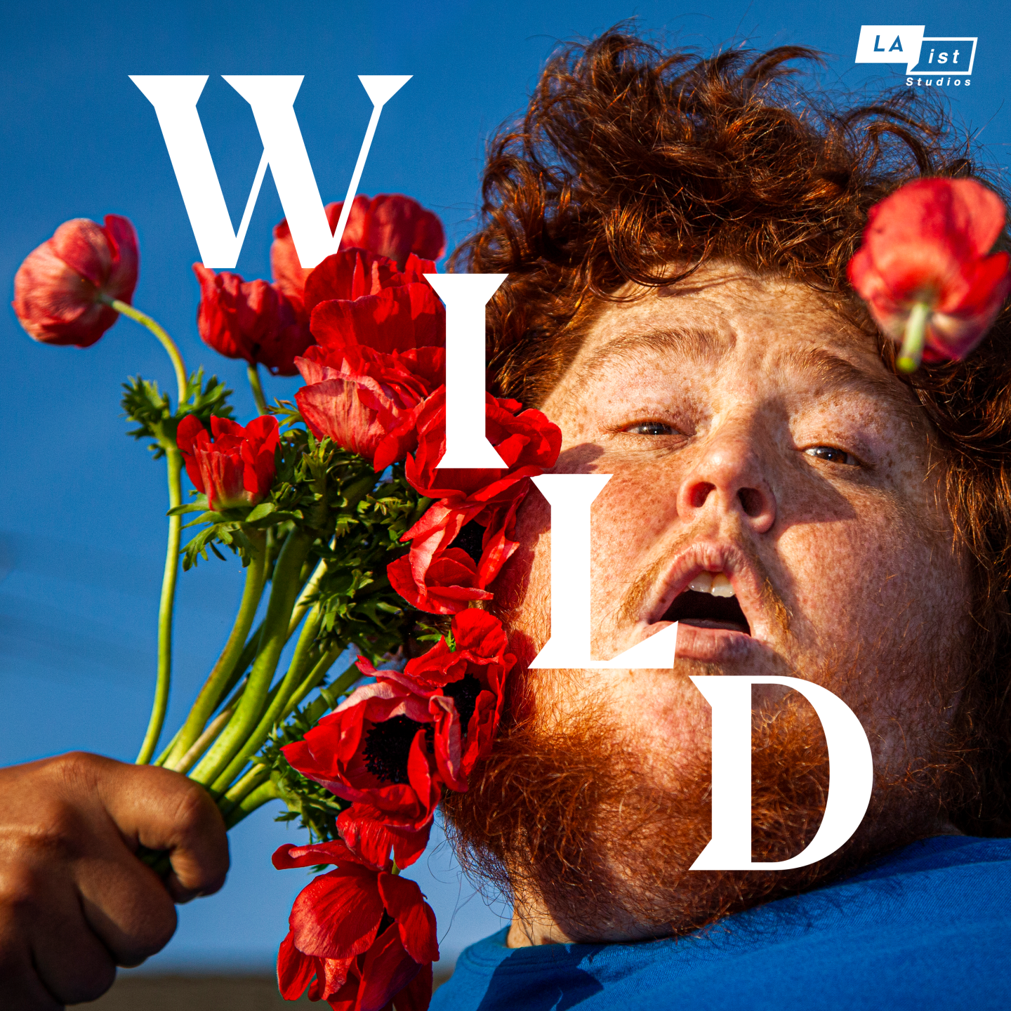 WILD - cover art
