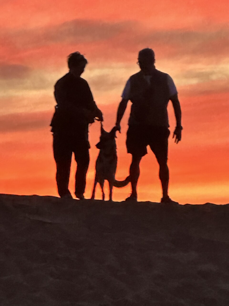 Two people stand atop a sand berm on either side of a dog, with the sunset blazing orange behind them. The woman's silhouette is... baggy. 