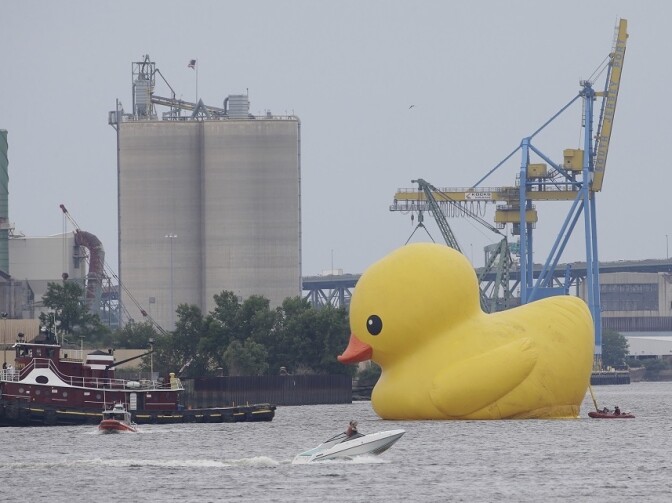Craig Samborski's giant rubber "Mama Duck" sails up the Delaware River between Camden, N.J., and Philadelphia during a tall ships parade in June 2015.