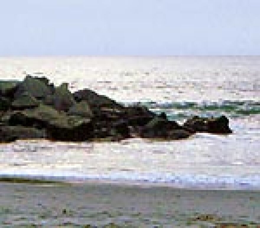ocean-venice-beach.jpg