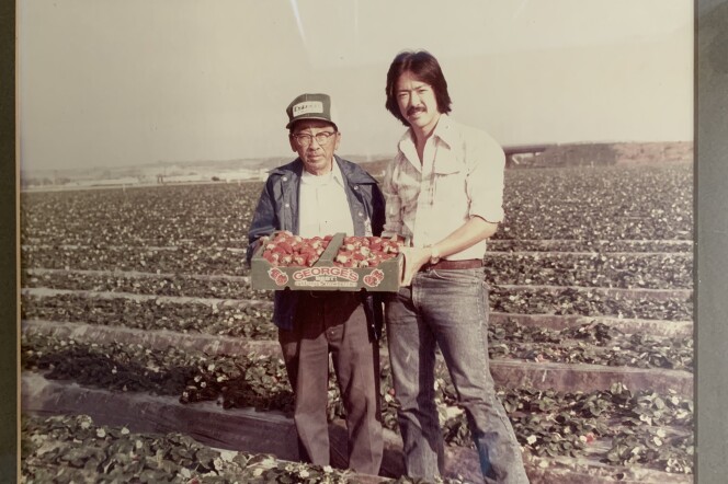 Two men are seen in a strawberry field, one on the older side and one about middle aged. They are jointly holding a large box of strawberries up, presenting it to the camera. The photo is aged, suggesting it is decades old.