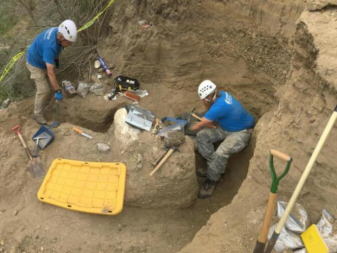 A rare mammoth fossil is excavated at Channel Islands National Park.
