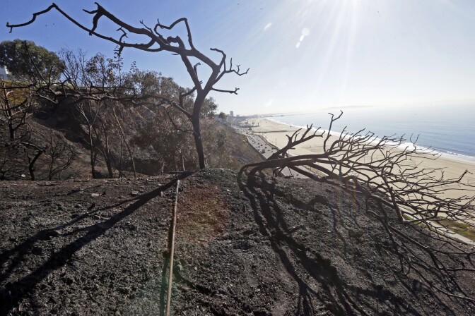 A burned-over bluff still smoulders and traffic on Pacific Coast Highway is jammed in the Pacific Palisades area of Los Angeles Wednesday, Jan. 15, 2014, after a fire threatened bluff top homes Tuesday afternoon. The flames crept within feet of multimillion-dollar cliff-top homes, but none were damaged.  The fire was knocked down in about 1 1/2 hours, but the highway remained closed for several hours more until one lane opened in each direction.  Santa Ana winds, generated by strong surface pressure anchored over the West, were predicted to remain at advisory levels until noon Wednesday. Red-flag warnings for fire danger were expected to remain in effect until Wednesday evening. (AP Photo/Reed Saxon)
