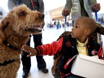 SAN FRANCISCO, CA - DECEMBER 03:  A young boy pets a therapy dog named Toby inside Terminal 2 at San Francisco International Airport on December 3, 2013 in San Francisco, California.  The San Francisco SPCA and San Francisco International Airport joined forces to launch a new program called "Wag Brigade" that will have a team of certified therapy dogs that will patrol the airport's to help calm stressed travelers during the busy holiday travel season. (Photo by Justin Sullivan/Getty Images)