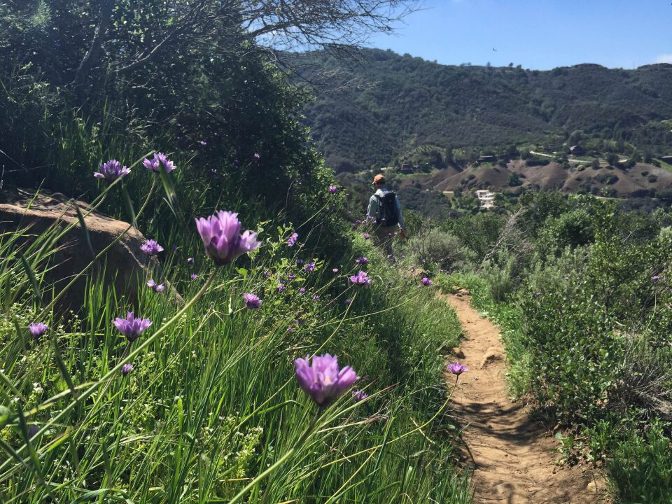 The Backbone Trail as it cross Saddle Peak in the Santa Monica Mountains National Recreation Area.