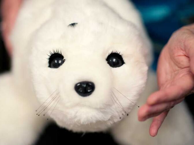 Robotic baby harp seal “Paro” has numerous sensors and responds to voices, petting and light by squealing, blinking and moving its head, tail and flippers.