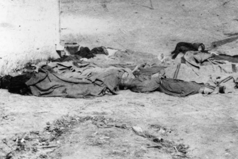 Black-and-white photo of Chinese males killed in the Chinese Massacre of 1871.