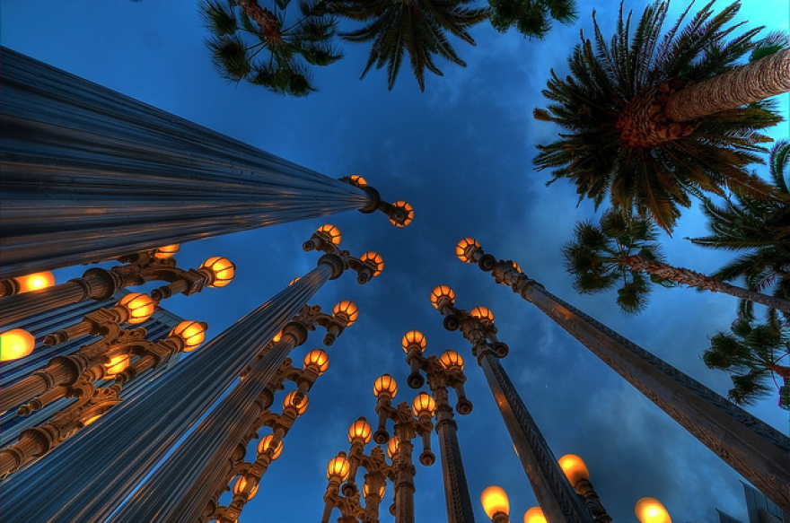 lamps_palms.png