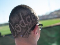 GLENDALE, AZ - FEBRUARY 23: A general view of a Dodger fan with an etched Dodger logo on the back of his head watching the game between the Los Angeles Dodgers and the Chicago White Sox at Camelback Ranch on February 23, 2013 in Glendale, Arizona. (Photo by Rob Tringali/Getty Images)