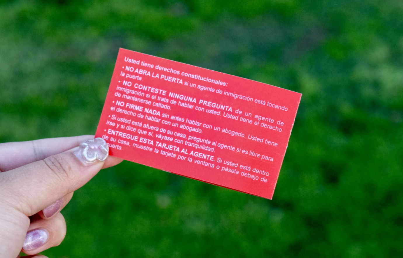 Red Learning Card LAUSD red cards