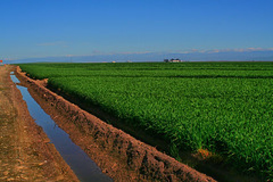 visalia farm.jpg
