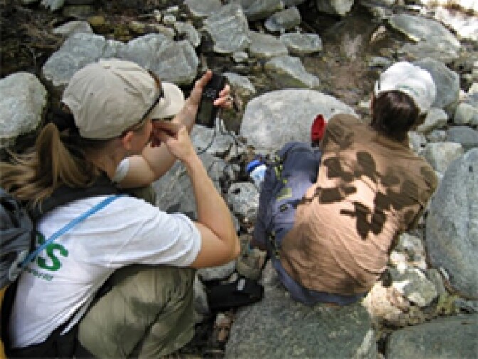 USGS biologists monitor Little Rock Creek to see whether removing non-native trout helps native frog populations bounce back.