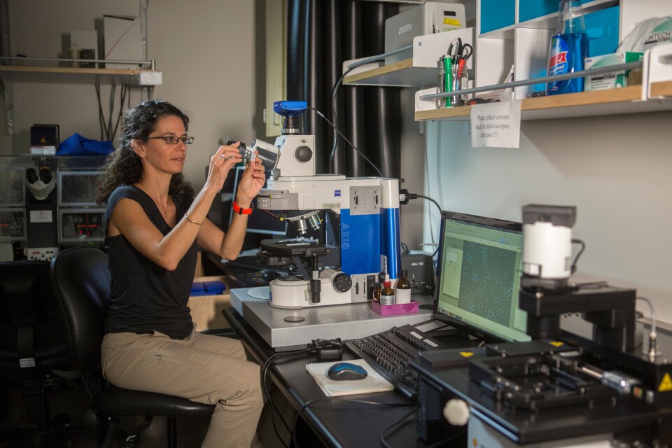 Dianne Newman, 2016 MacArthur Fellow, Caltech, Pasadena, CA, 09.08.2016