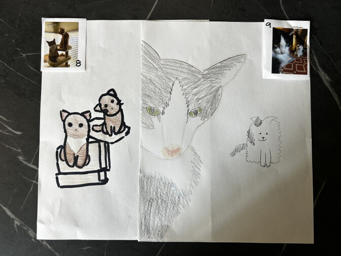 Drawings of cats and a dog sit beside reference photos of two cats on a cat tree and a cat and dog on a rug.