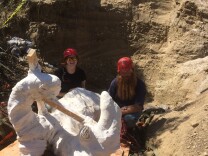 September, 2016: A mammoth fossil is excavated on Santa Rosa Island in the Channel Islands.