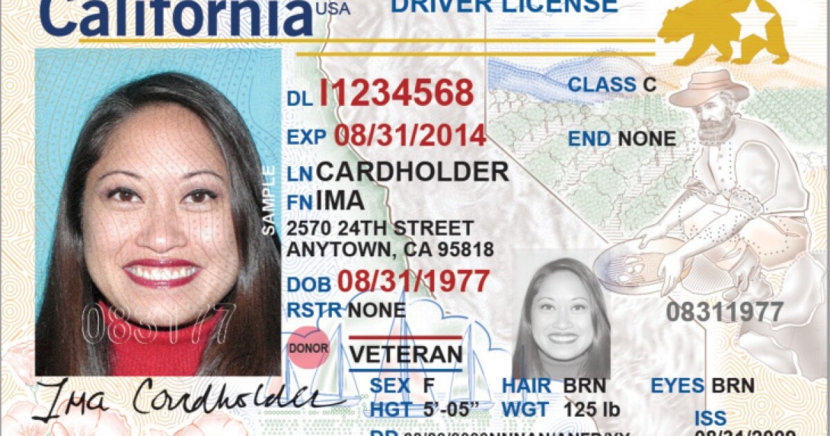 Florida drivers license check list verdetroit
