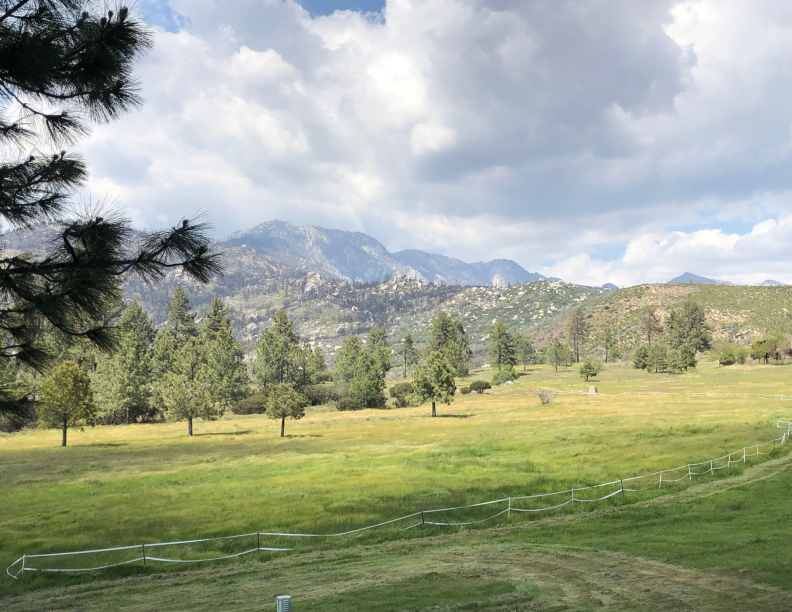 A landscape photo of the property at Living Free Animal Shelter in Mountain Center, CA. There is a large expanse of green grass in the foreground. Behind are a row of trees and then a large mountain range.