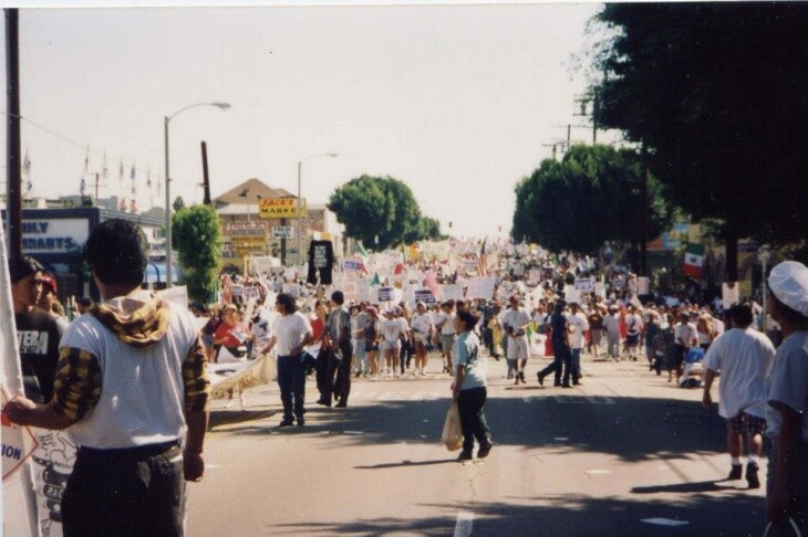 A street is filled with marchers, many carrying signs above their heads.